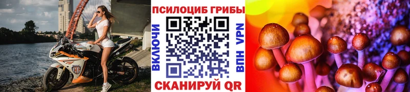 Псилоцибиновые грибы мухоморы  мега маркетплейс  Северск 